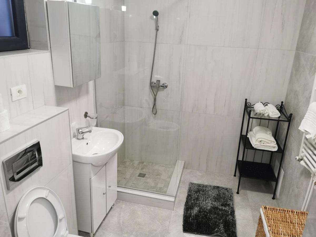 Jolie Luxury Apartments II 蒂米什瓦拉 外观 照片